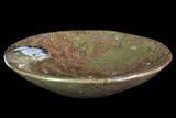 Fossil Goniatite Bowl - Stoneware #73763-1